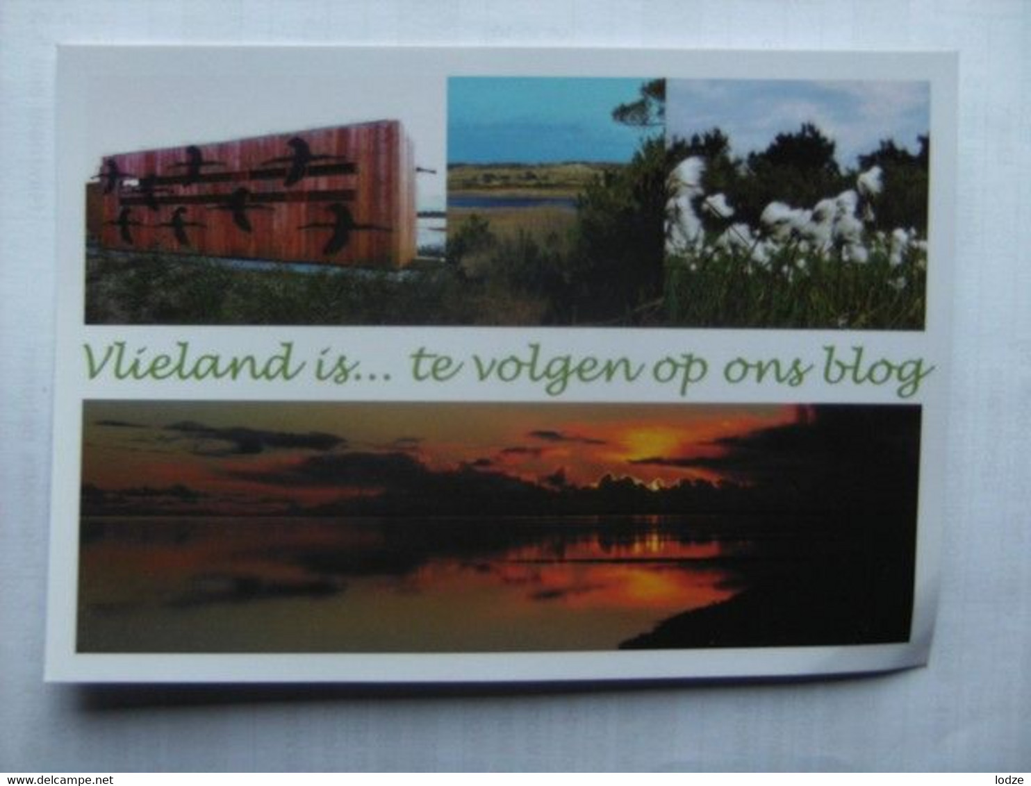 Nederland Holland Pays Bas Vlieland Staatsbosbeheer Blog - Vlieland