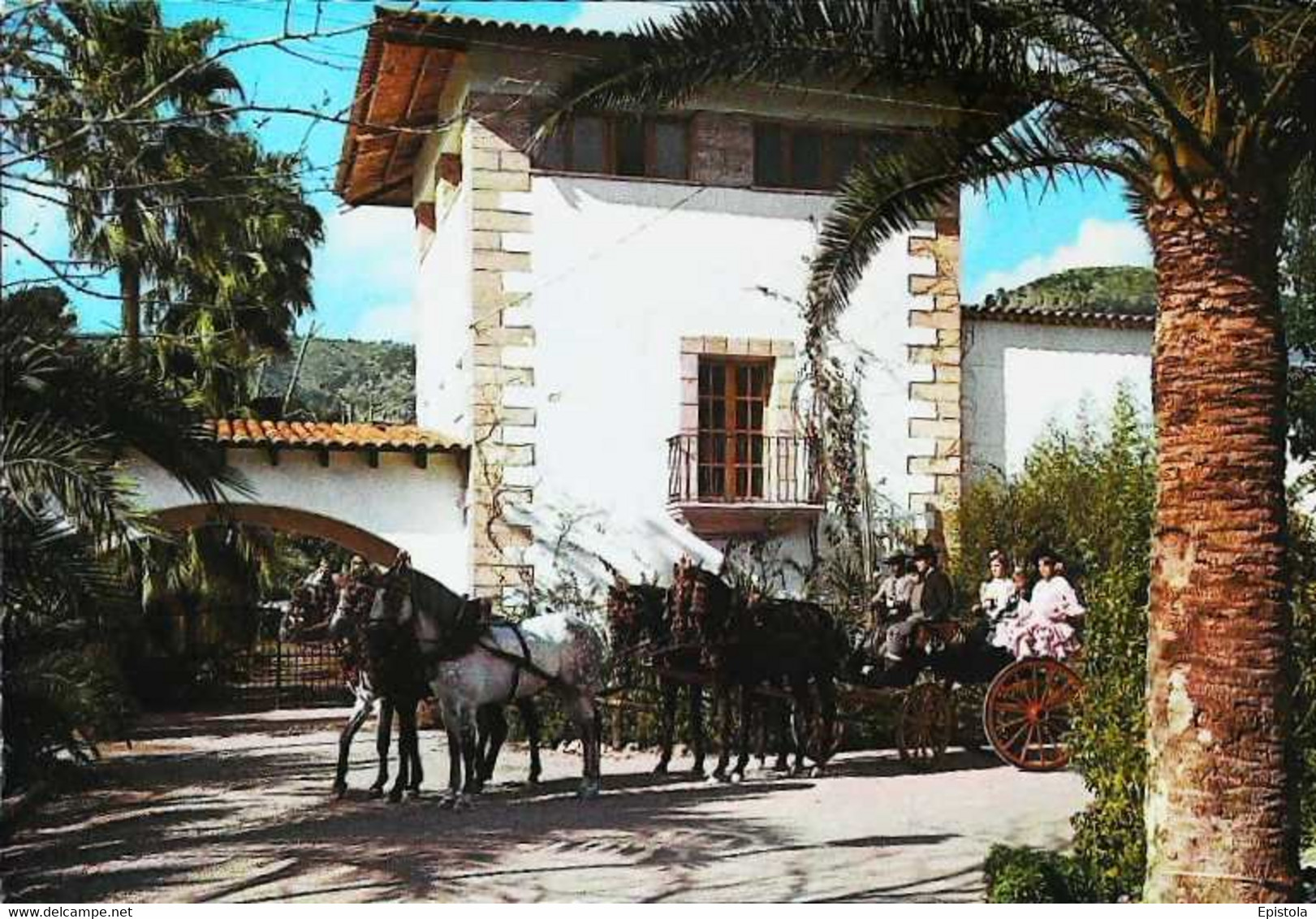 ►    CPSM Espagne   Cortijo  Ses Rotes  Attelage Cheval 1972 - Attelages