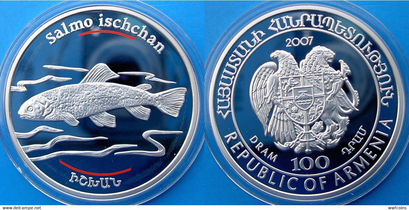 ARMENIA 100 D 2007 ARGENTO PROOF SILVER ENDANGERED WILDLIFE SALMO ISCHCHAN FISH ANIMAL EN PERIL PESO 28,28g TITOLO 0,925 - Armenia