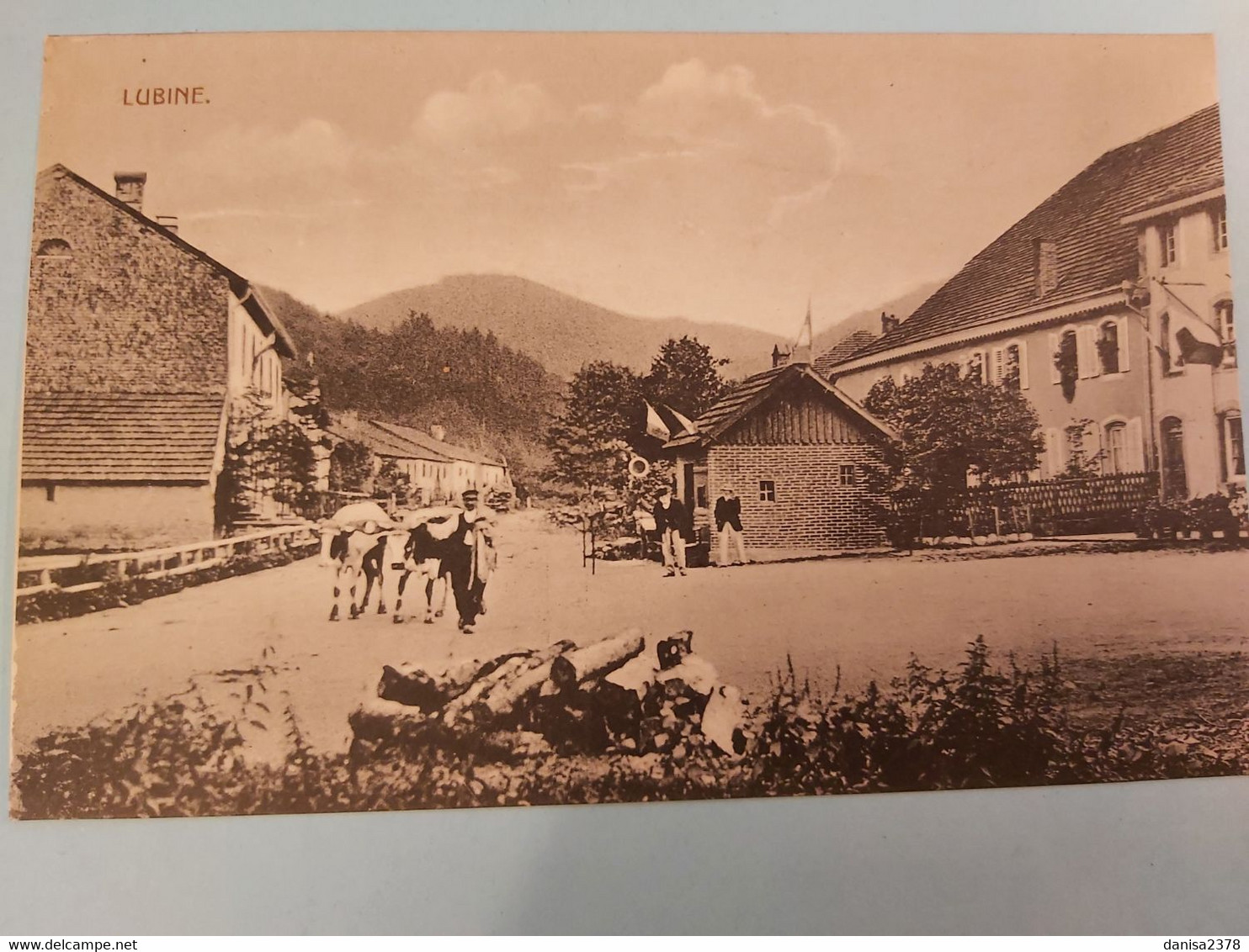 88 - LUBINE - Vosges -  Poste Frontière Début Années 1900 - Provencheres Sur Fave