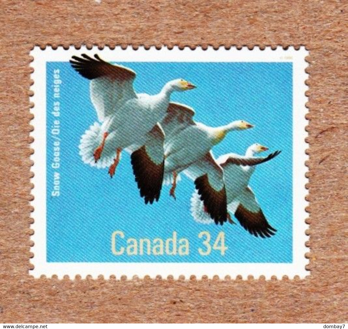 BIRD = SNOW GOOSE = Canada 1986 #1096 MNH - Ganzen