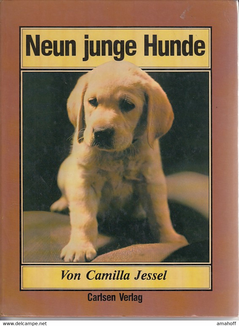 Neun Junge Hunde - Nature