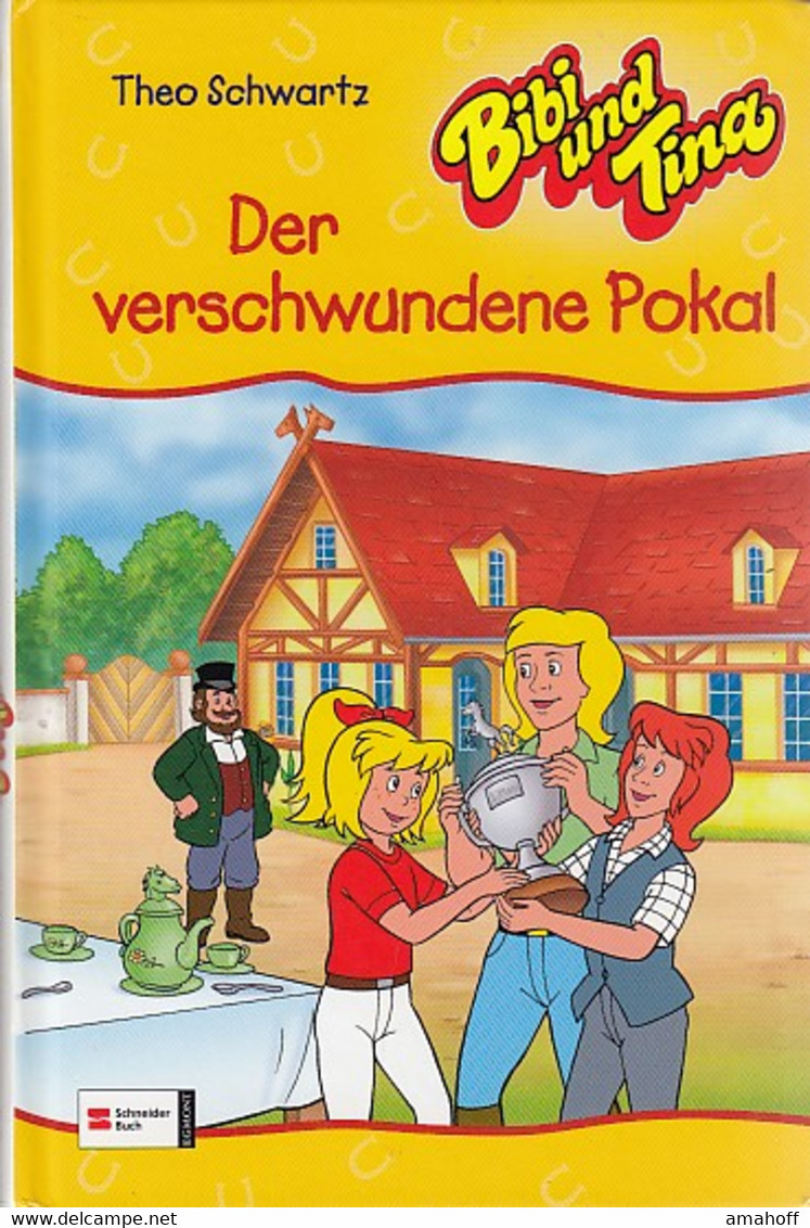 Bibi Und Tina Bd.36 Der Verschwundene - Sonstige & Ohne Zuordnung