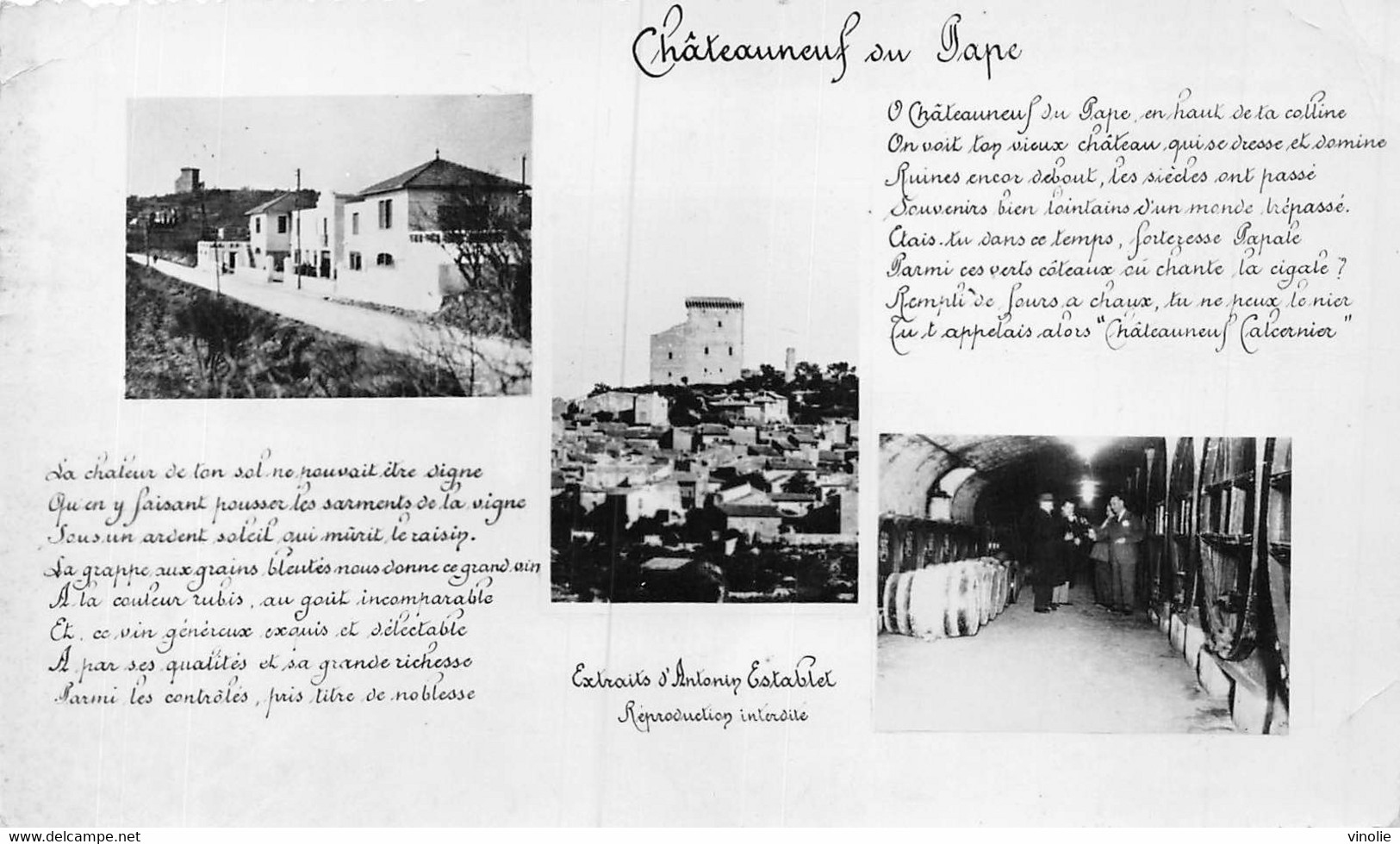 PIE-FL-21-7405 : CHATEAUNEUF-DU-PAPE - Chateauneuf Du Pape