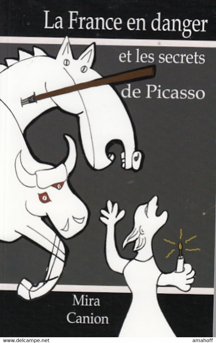 La France En Danger Et Les Secrets De Picasso - Sonstige & Ohne Zuordnung