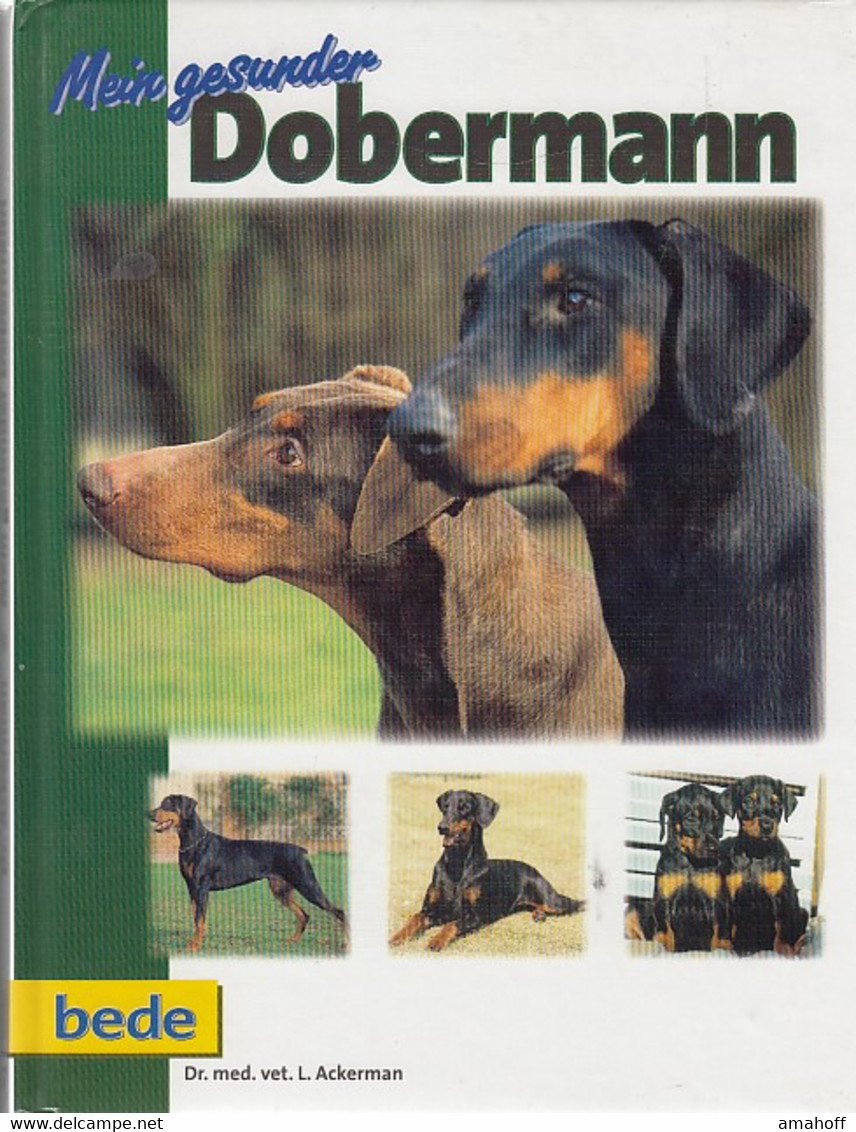 Bede Bei Ulmer Mein Gesunder Dobermann Von Dr. Med. Vet. Lowell Ackerman - Nature