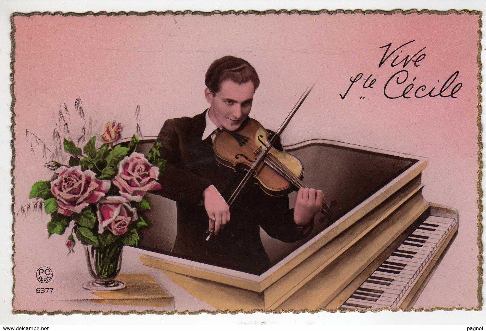 Sainte-Cécile : Vive Ste-Cécile : Musique - Violon - Other & Unclassified