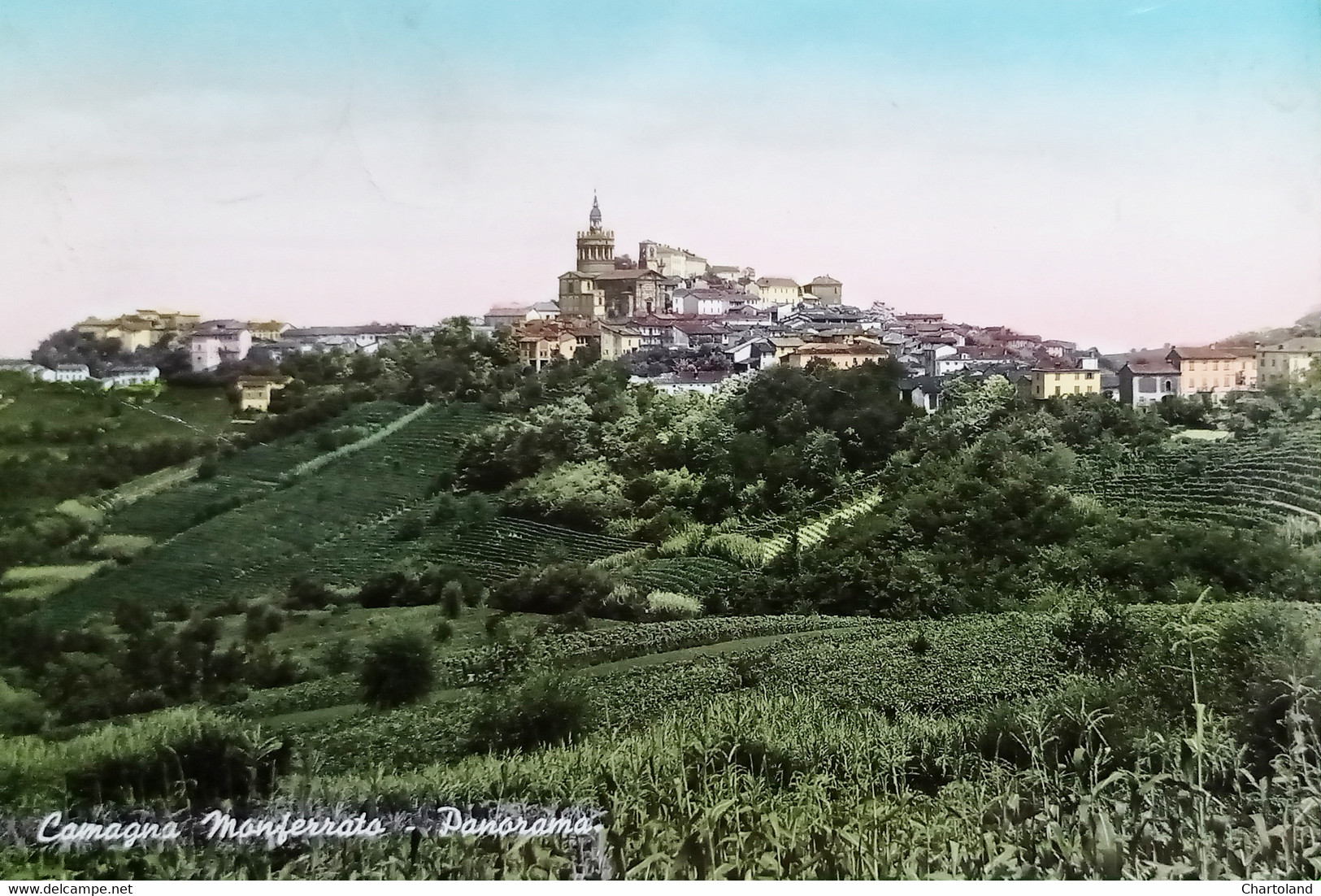 Cartolina - Camagna Monferrato - Panorama - 1965 Ca. - Alessandria