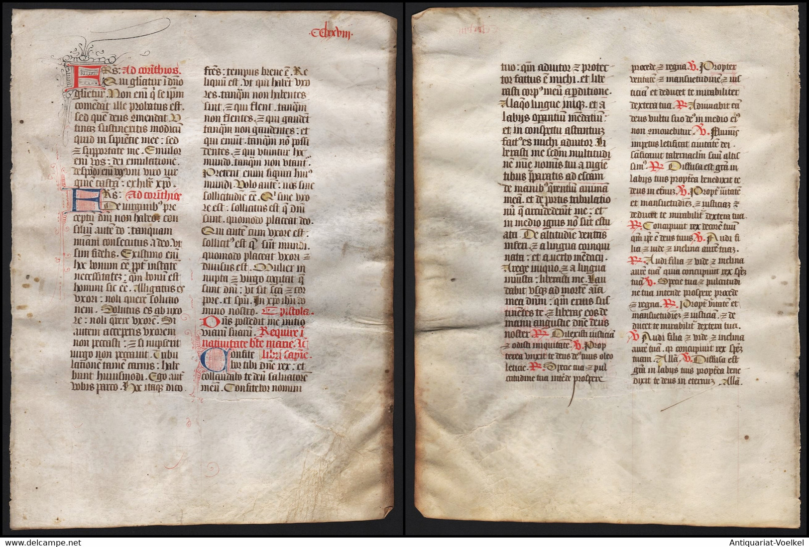 Missal Missale Manuscript Manuscrit Handschrift - (Blatt / Leaf CCLXXVIII) - Theater & Scripts