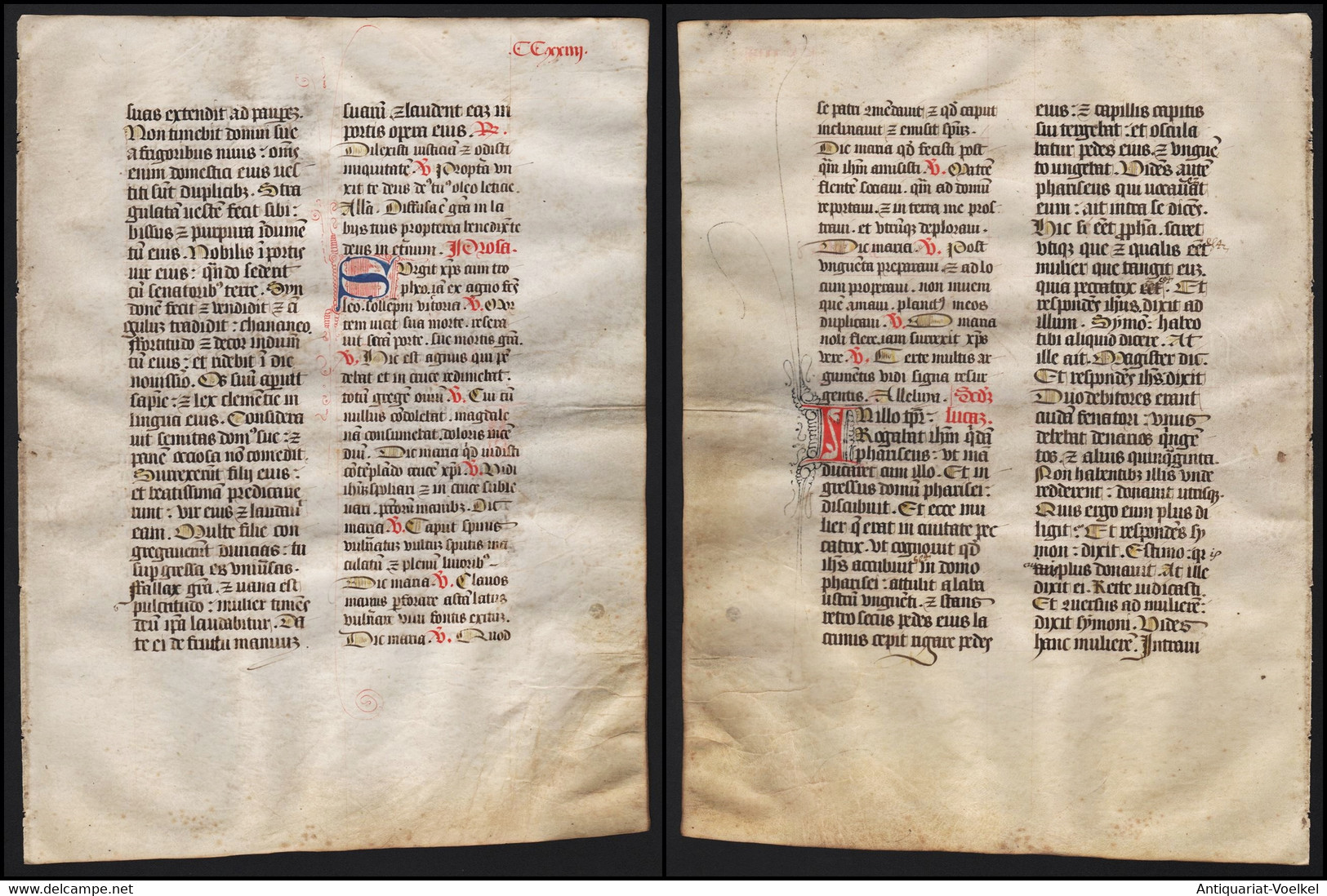 Missal Missale Manuscript Manuscrit Handschrift - (Blatt / Leaf CCXXIIII) - Théâtre & Scripts