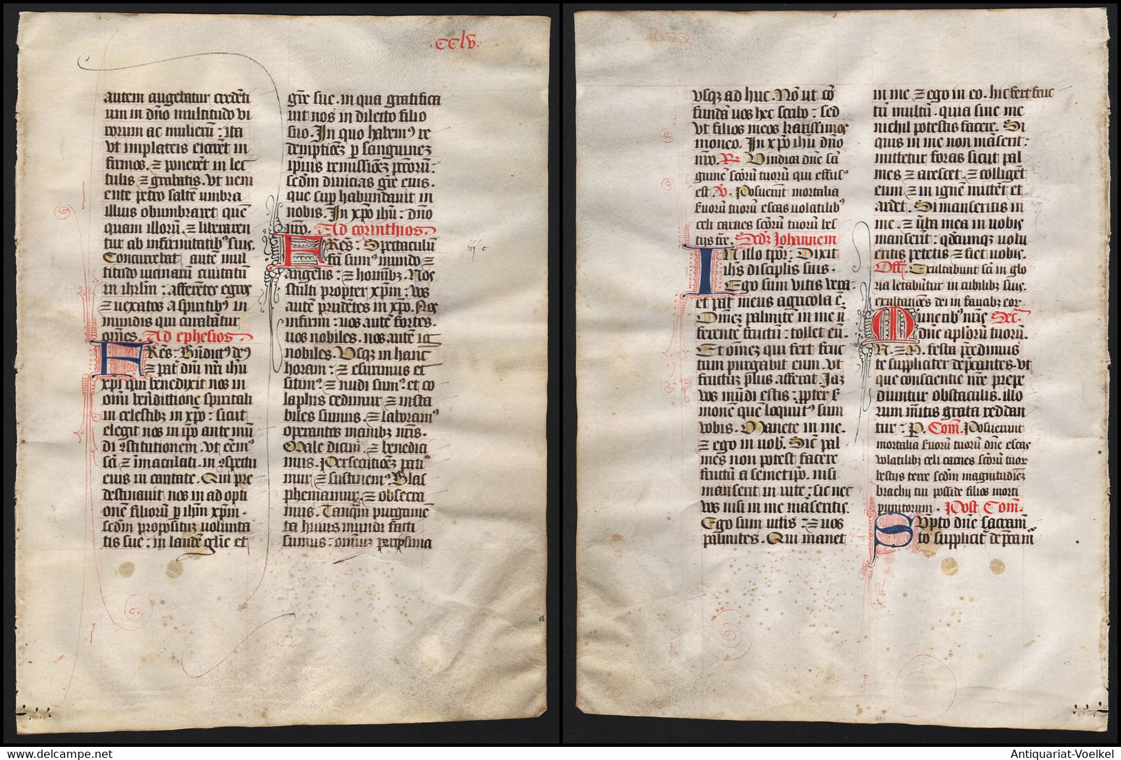 Missal Missale Manuscript Manuscrit Handschrift - (Blatt / Leaf CCLV) - Theater & Drehbücher