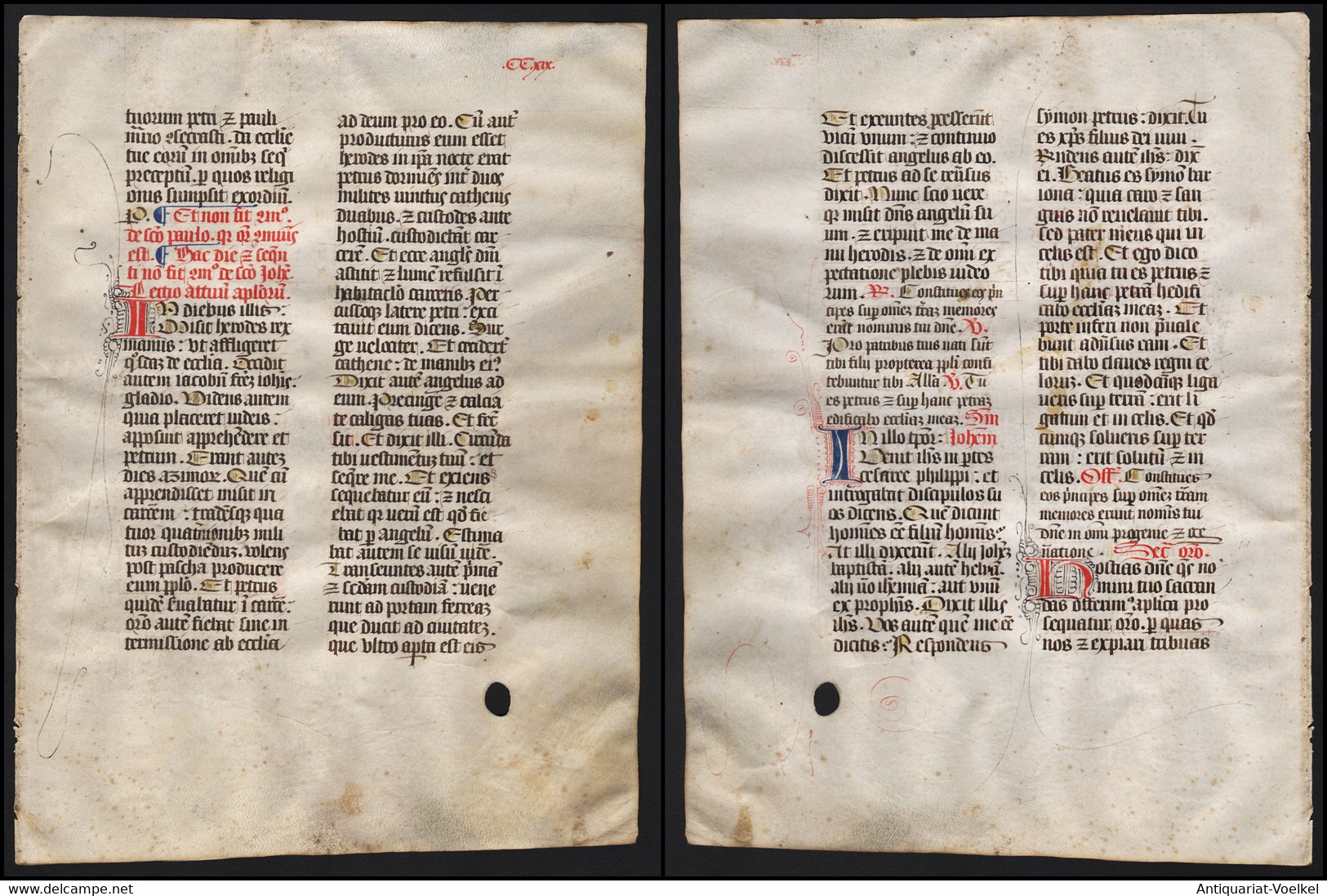 Missal Missale Manuscript Manuscrit Handschrift - (Blatt / Leaf CCXIX) - Theater & Drehbücher