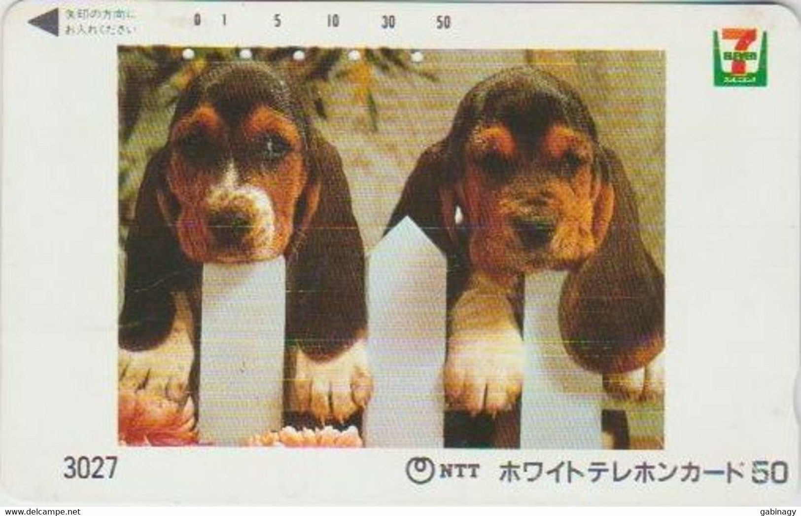 DOGS - JAPAN-049 - 110-011 - Chiens