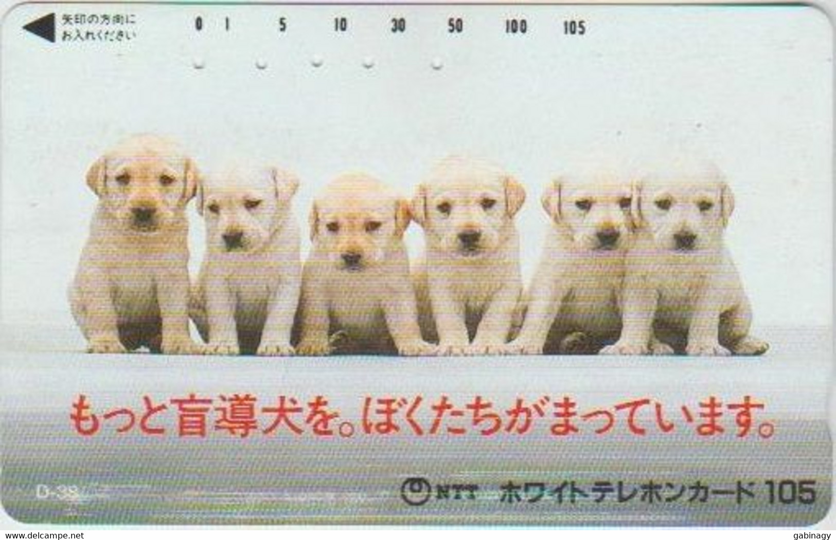 DOGS - JAPAN-059 - 110-011 - Chiens