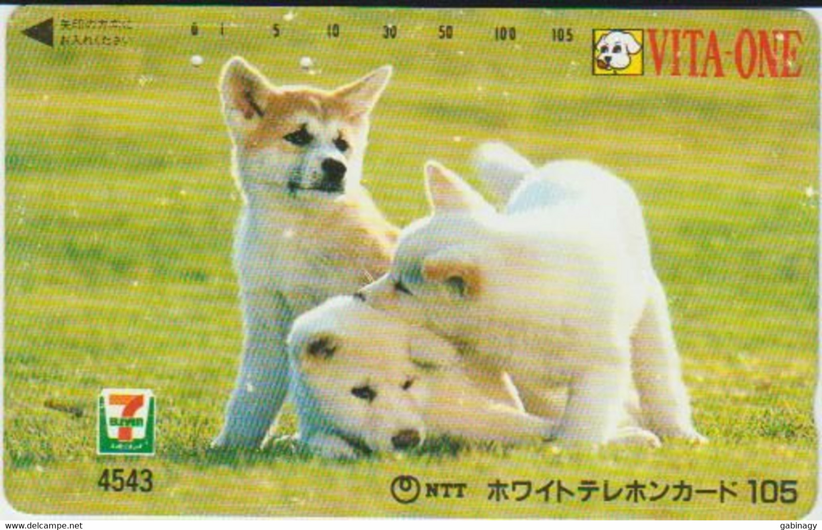 DOGS - JAPAN-061 - 110-011 - Chiens