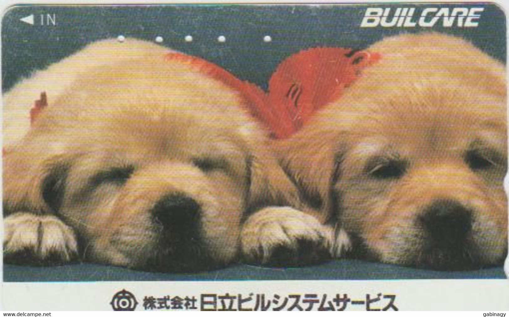 DOGS - JAPAN-064 - 110-011 - Chiens