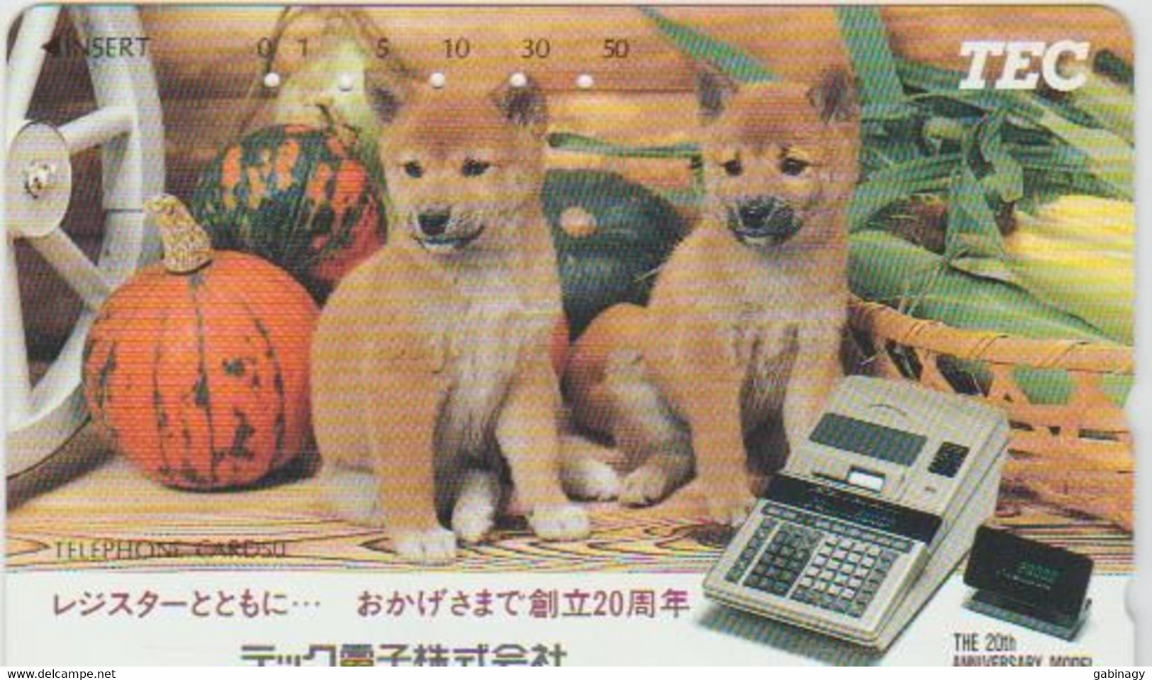 DOGS - JAPAN-067 - 110-131260 - Chiens