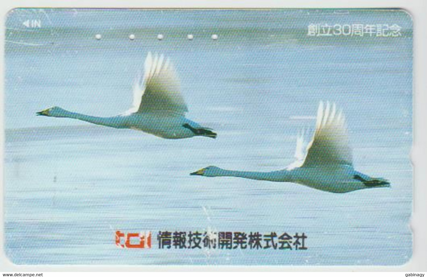 BIRDS - JAPAN - H1994 - 110-016 - Pingouins & Manchots