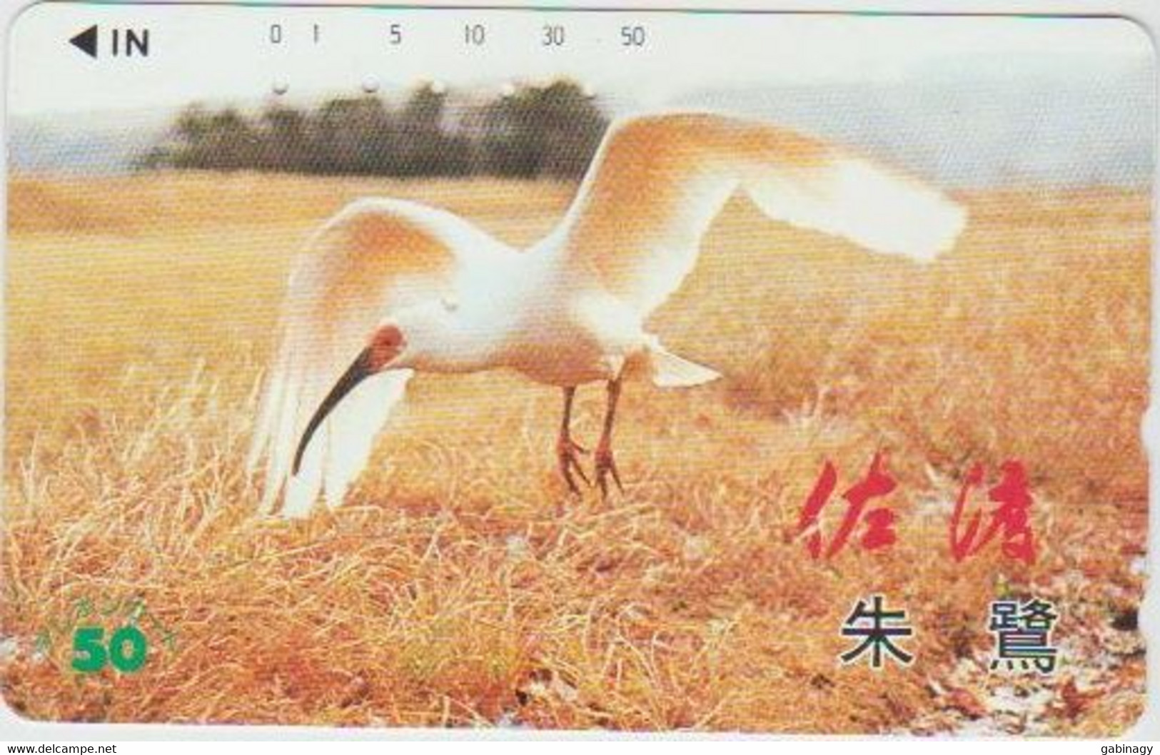 BIRDS - JAPAN - H1996 - 110-66773 - Pinguïns & Vetganzen