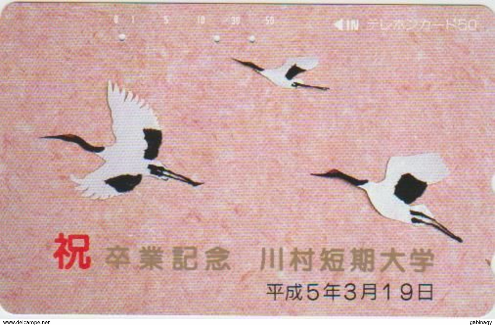 BIRDS - JAPAN - H2008 - 110-63045 - Pingouins & Manchots