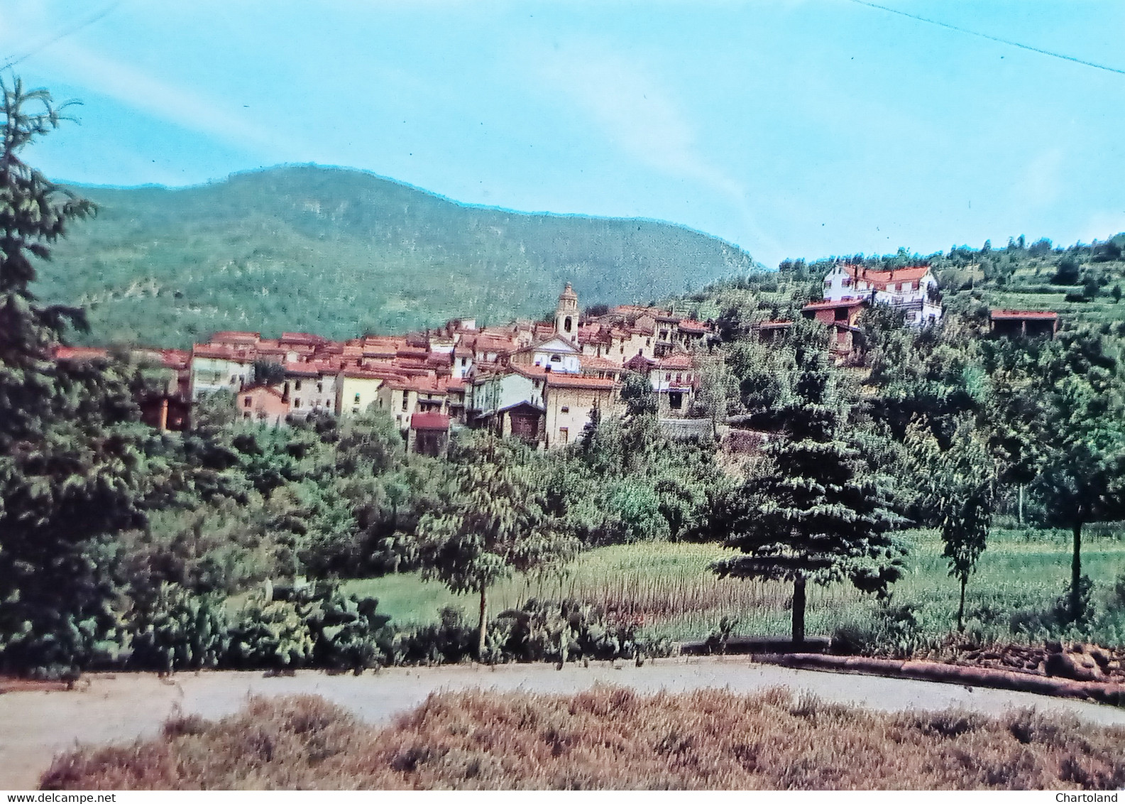 Cartolina - Salogni - Panorama - 1970 Ca. - Alessandria