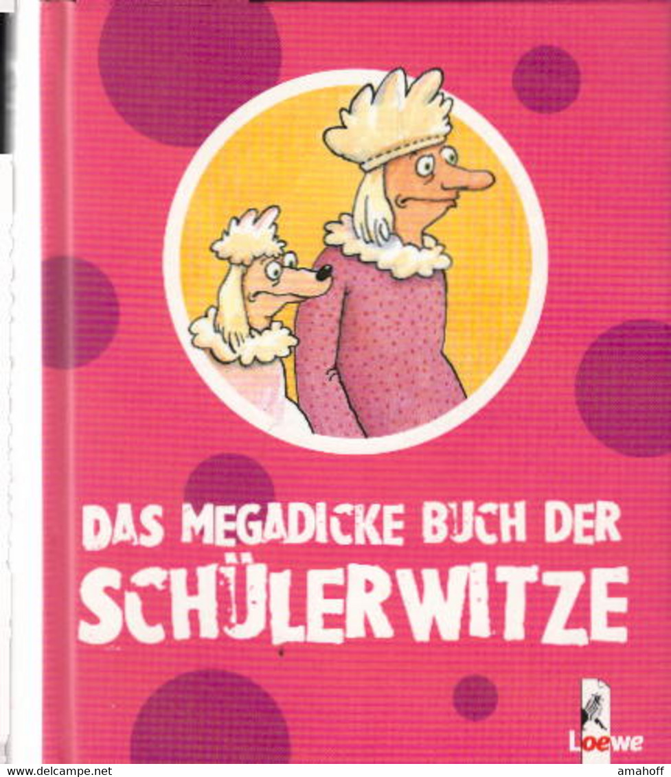 Das Megadicke Buch Der Schülerwitze - Sonstige & Ohne Zuordnung