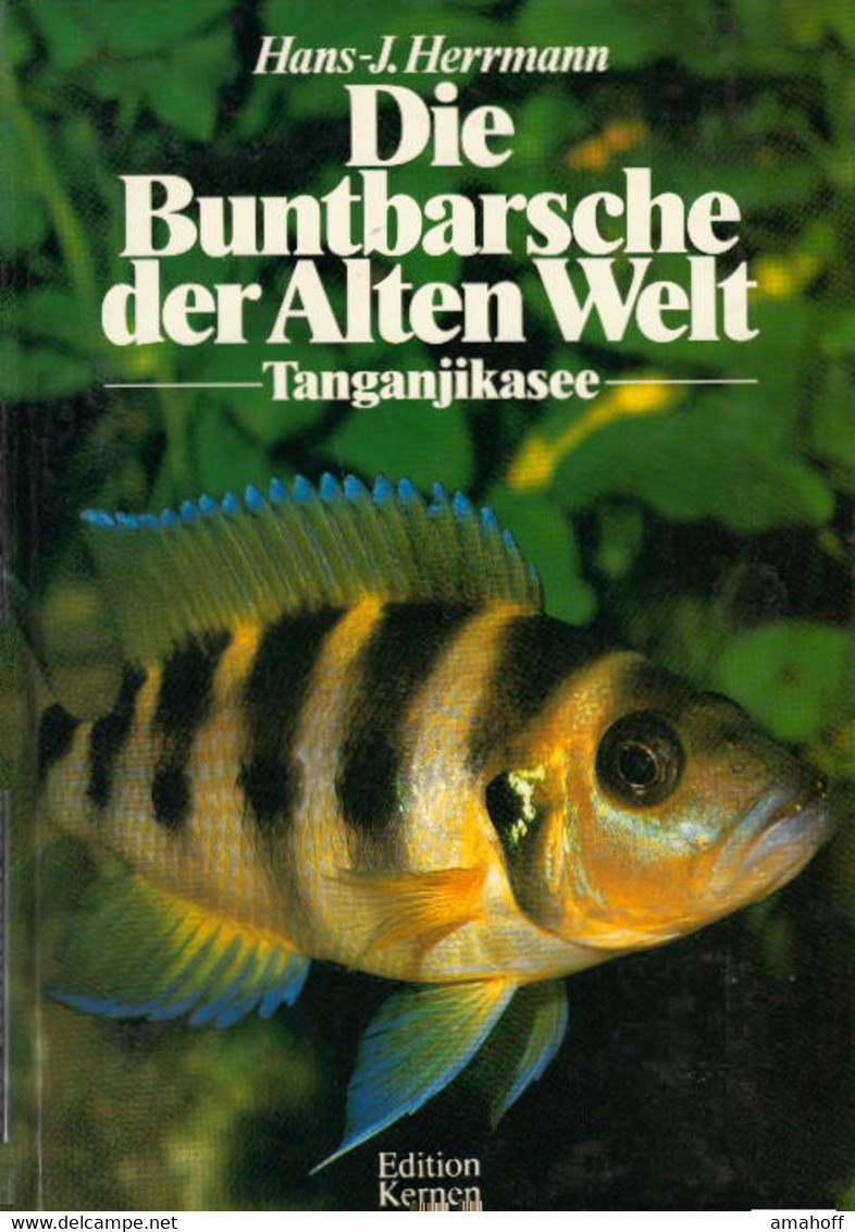 Die Buntbarsche Der Alten Welt : Tanganjikasee. - Nature