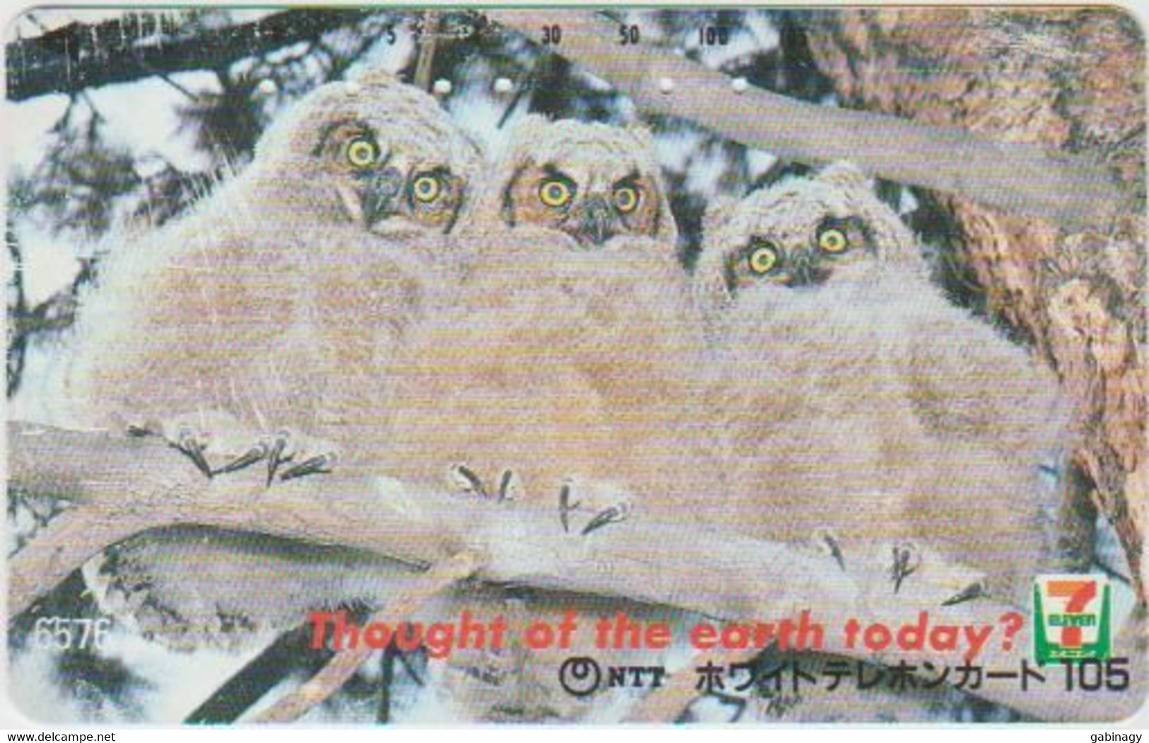 OWL - JAPAN - H101 - 110-011 - Hiboux & Chouettes