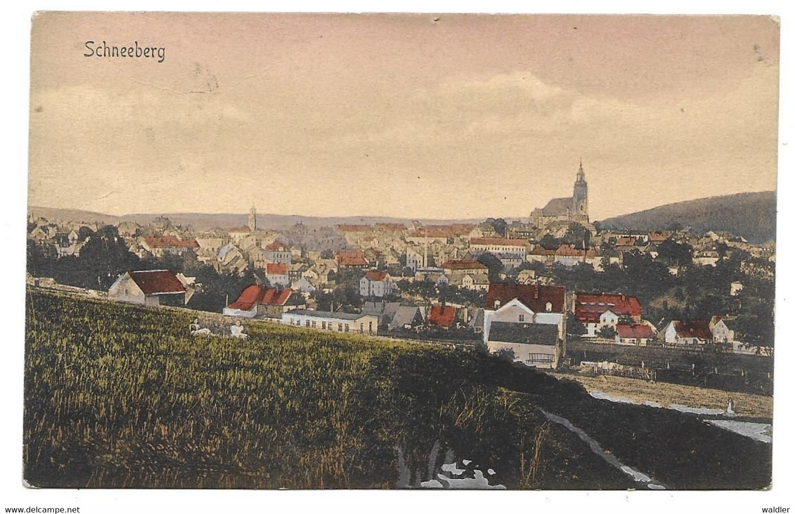 9412  SCHNEEBERG  1906 - Schneeberg