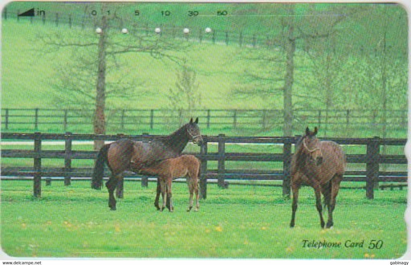 HORSE - JAPAN - H327 - 110-161607 - Horses