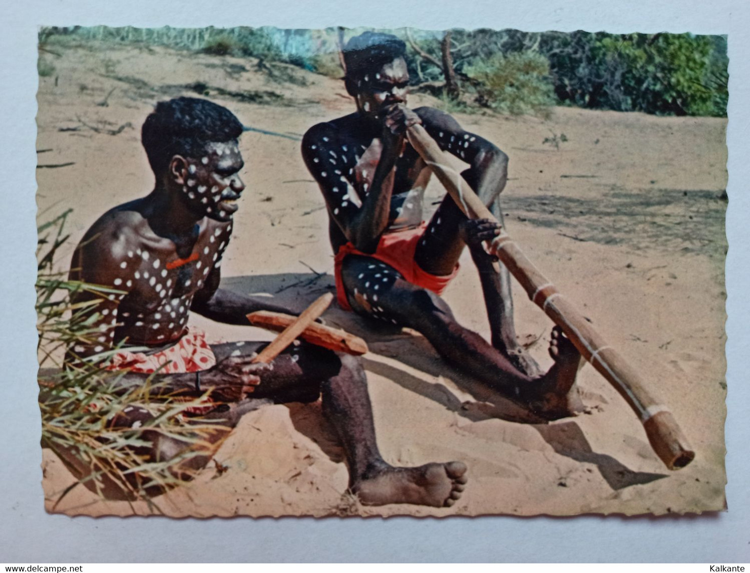 1978 - ABORIGENES PLAYING THE DIDGERIDOO - Aborigènes
