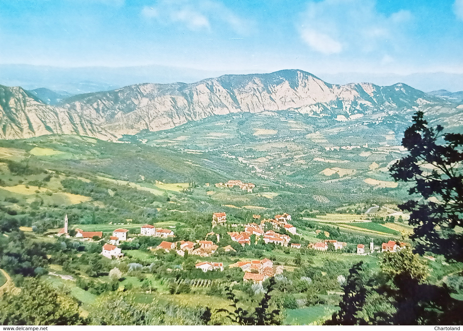 Cartolina - Pallavicino ( Alessandria) - Panorama - 1971 - Alessandria