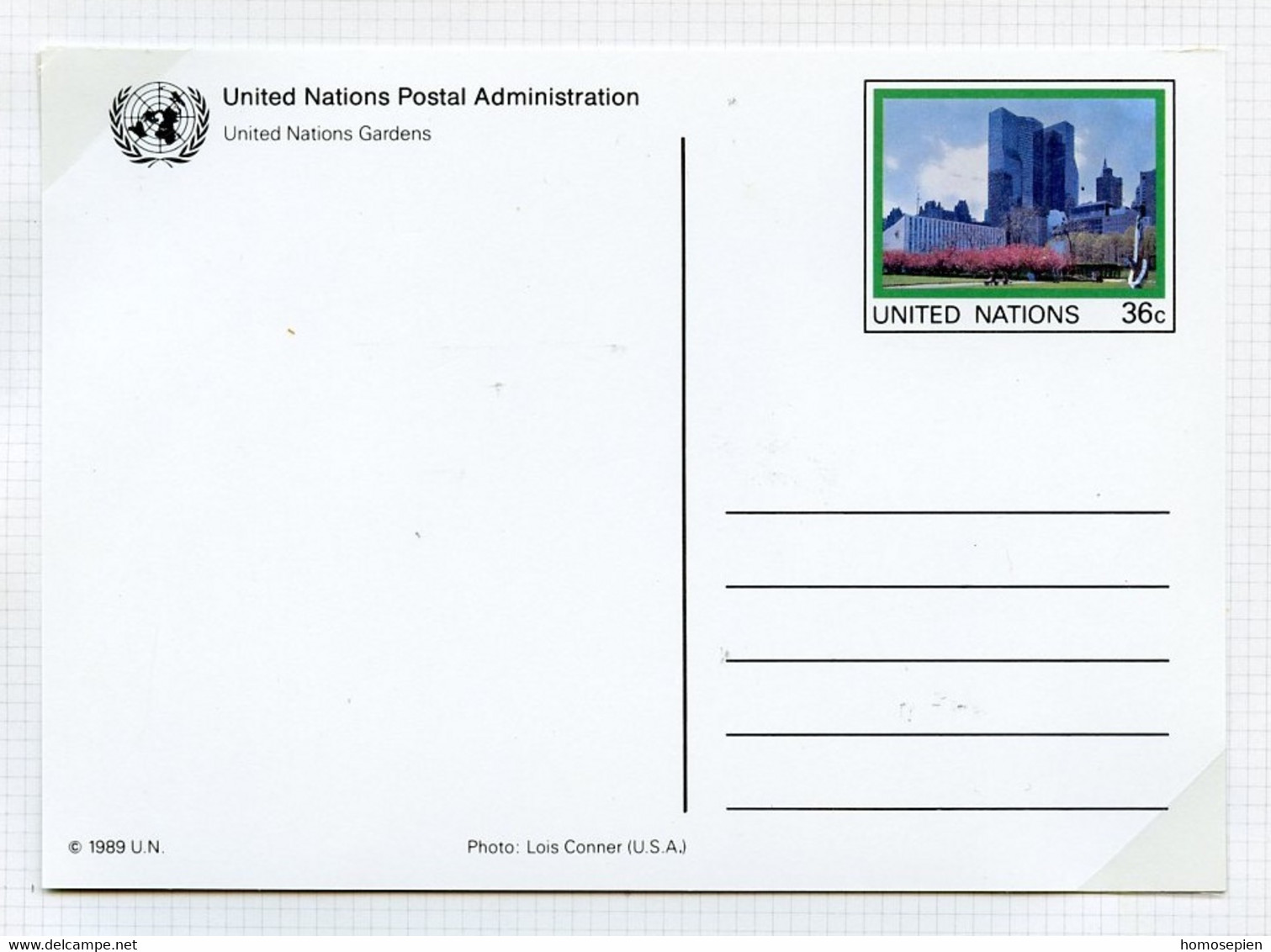 NU New York - Vereinte Nationen Entier Postal 1989 Y&T N°EP1989-06 - Michel N°GZS1989-06 *** - 15c Bâtiment De L'ONU - Cartas & Documentos