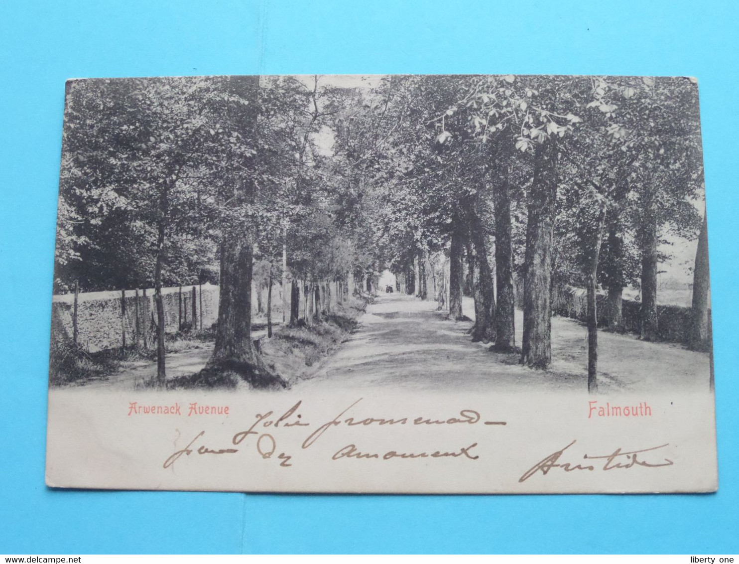 ARWENACK Avenue > Falmouth ( Stengel & C° - 18777 ) Anno 1904 ( See Photo )  ! - Falmouth