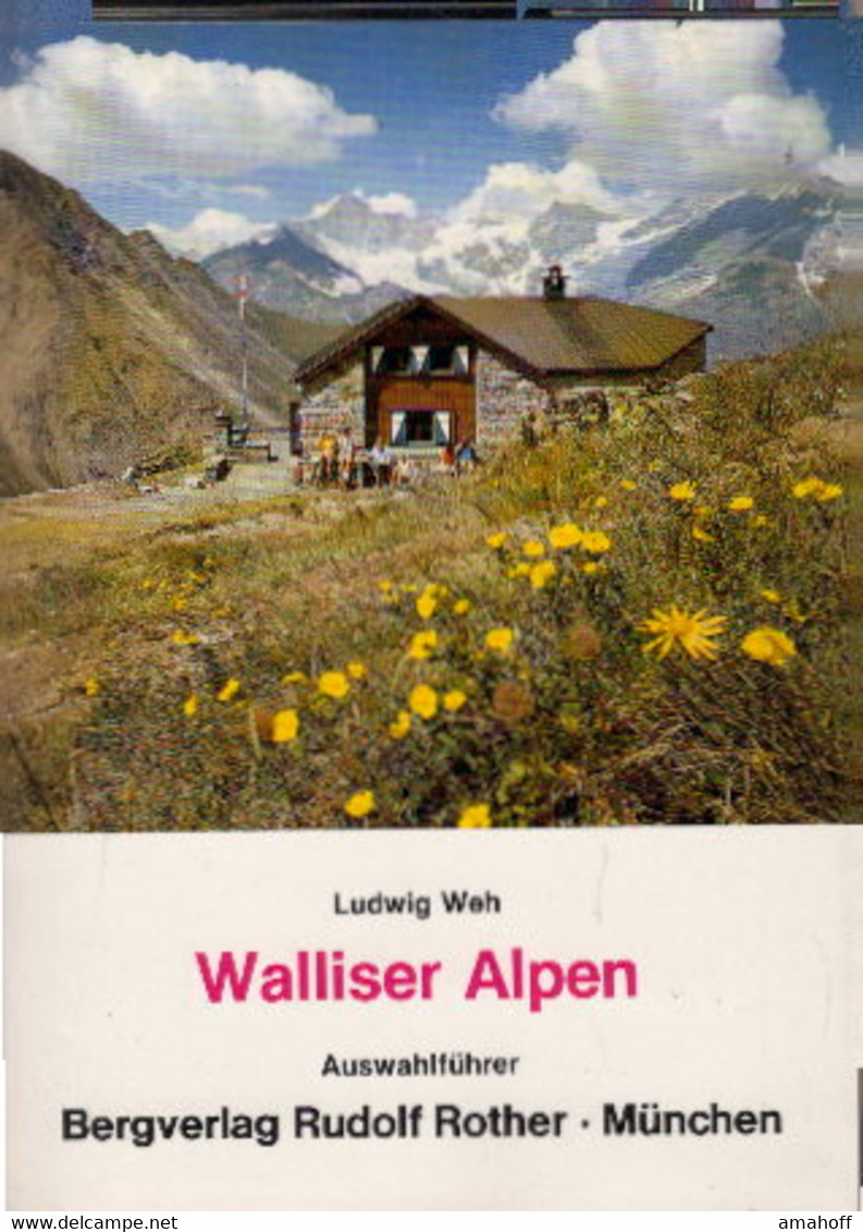 Walliser Alpen : Eine Auswahl Der Beliebtesten Anstiege Auf Die Viertausender Und Die Interessantesten Gipfel - Sonstige & Ohne Zuordnung