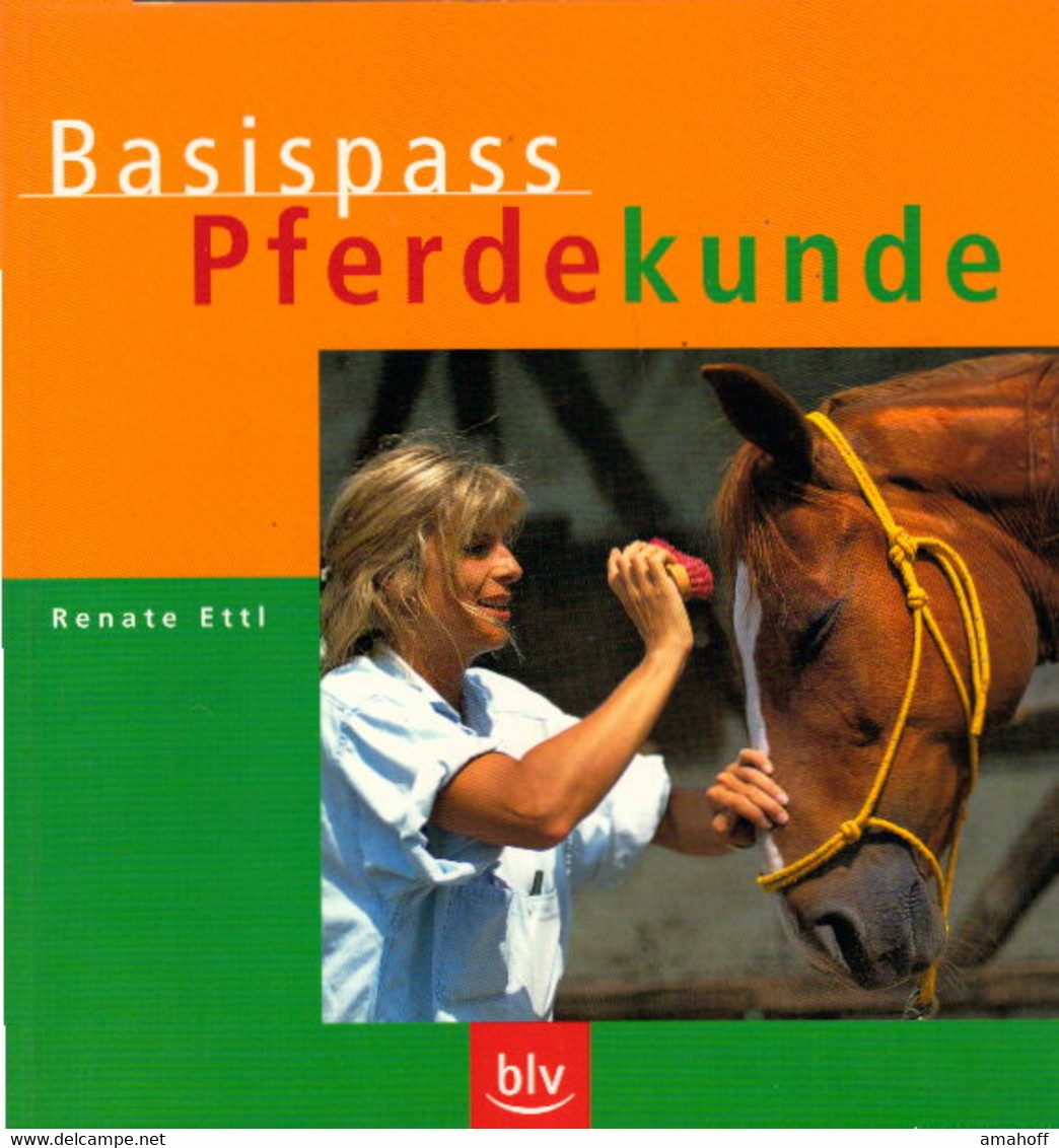 Basispass Pferdekunde - Nature