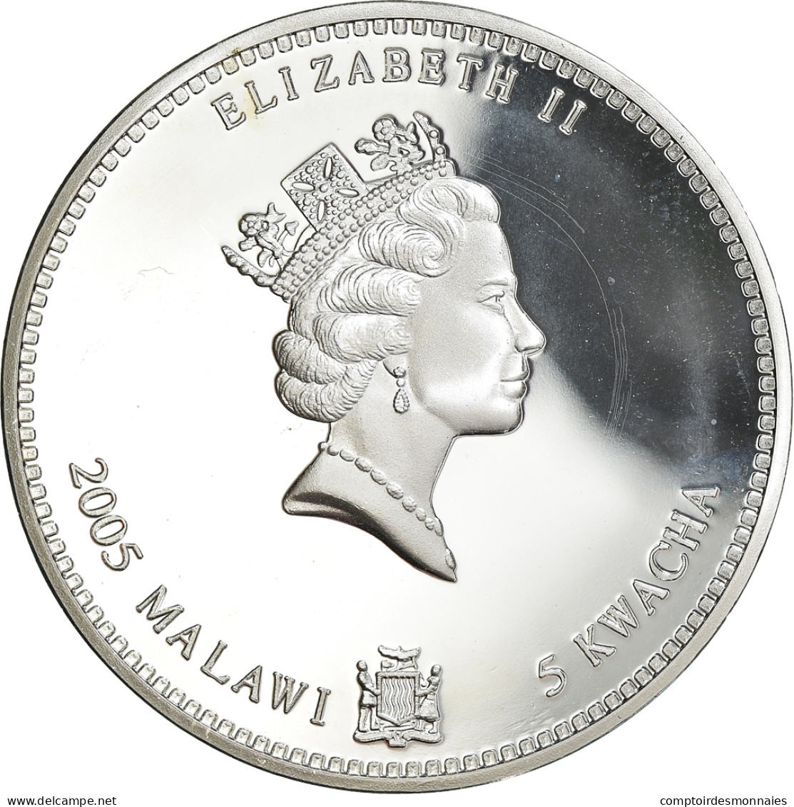 Monnaie, Malawi, 5 Kwacha, 2005, Lièvre / Rabbit, FDC, Silver Plated - Malawi