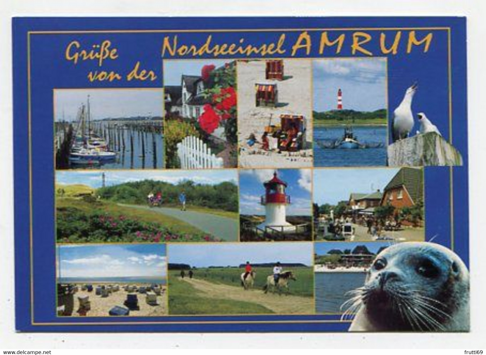 AK 023328 GERMANY -  Nordseeinsel Amrum - Nordfriesland