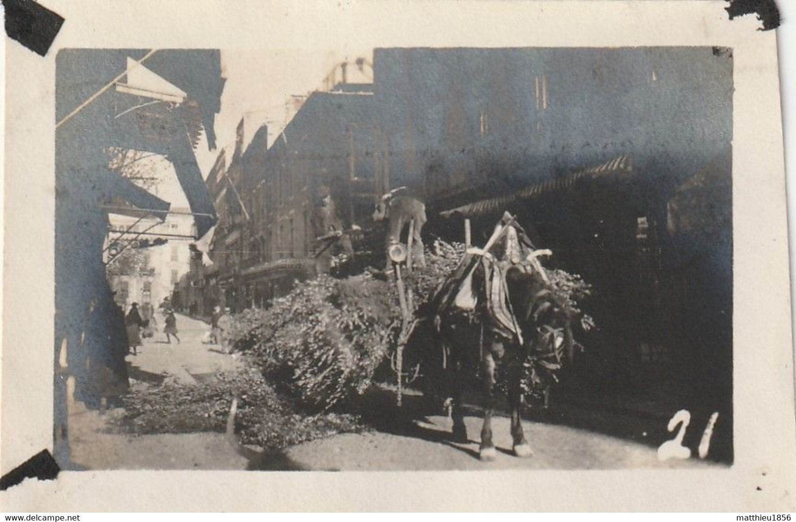 Photo 1918-1919 En Bretagne?? - Attelage Avec Des Branchages (A234, Ww1, Wk 1) - Attelages