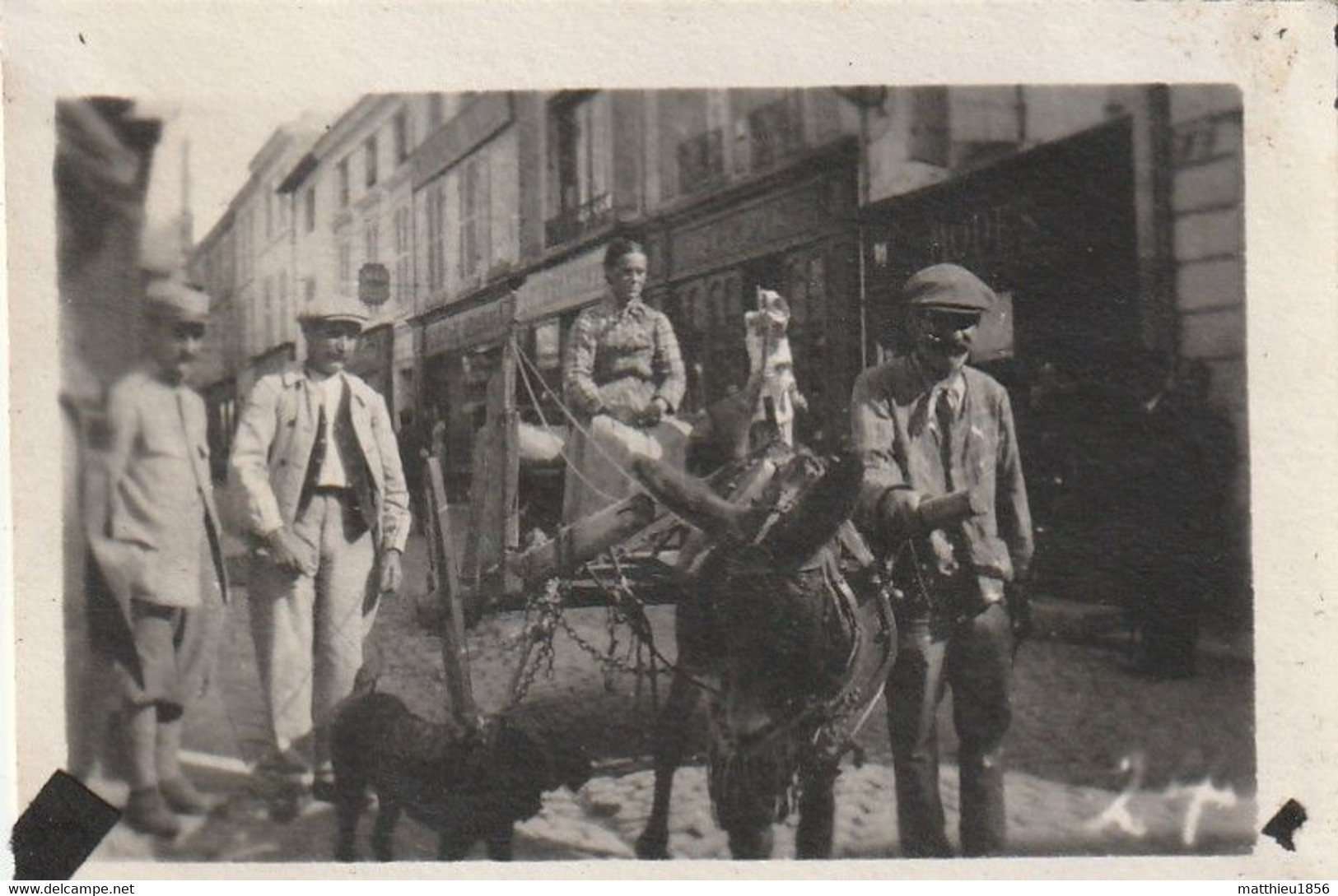 Photo 1918-1919 En Bretagne?? - Attelage Avec Un Mulet, âne (A234, Ww1, Wk 1) - Attelages