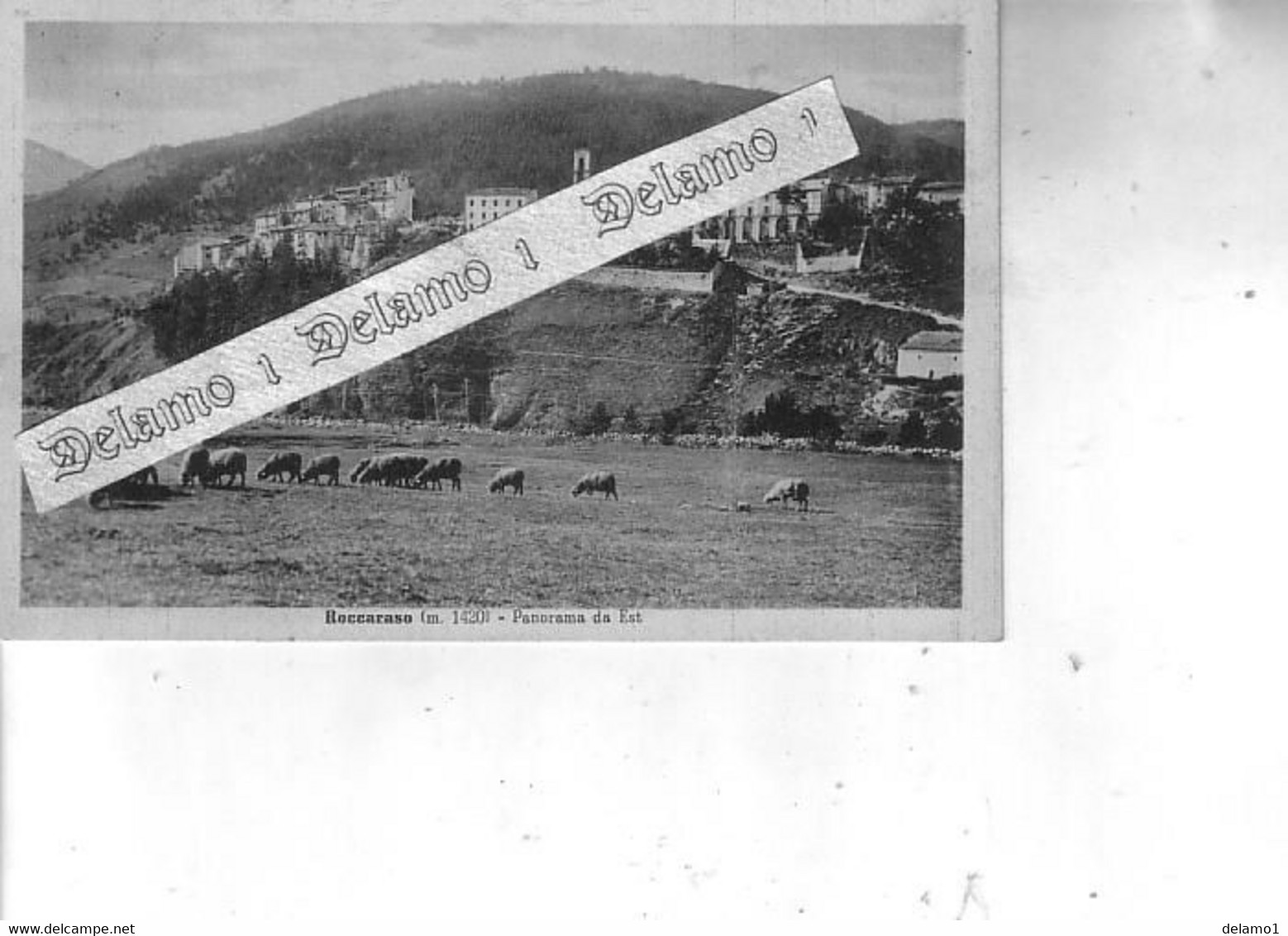 ABRUZZO -- AQUILA E PROV. -- ROCCARASO -- Panorama Da Est - Avezzano