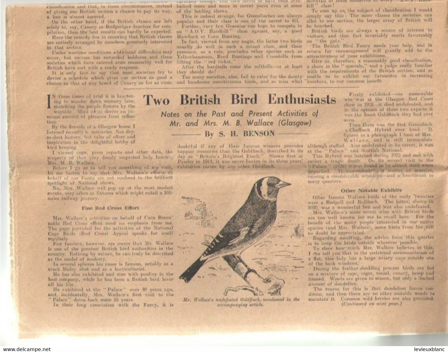 Montreal CAGE BIRDS And Bird Fancy/Official Bulletin/Montreal CANARY And CAGE BIRD Association/1940          VPN375 - Pet/ Animal Care