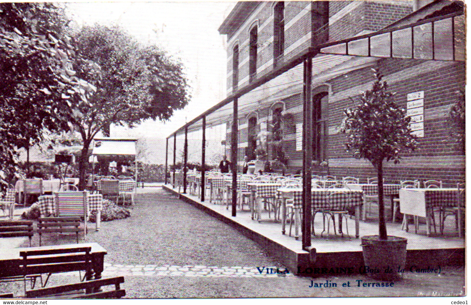 VILLA LORRAINE  BOIS DE LA CAMBRE  JARDIN ET TERRASSE - Cafés, Hôtels, Restaurants