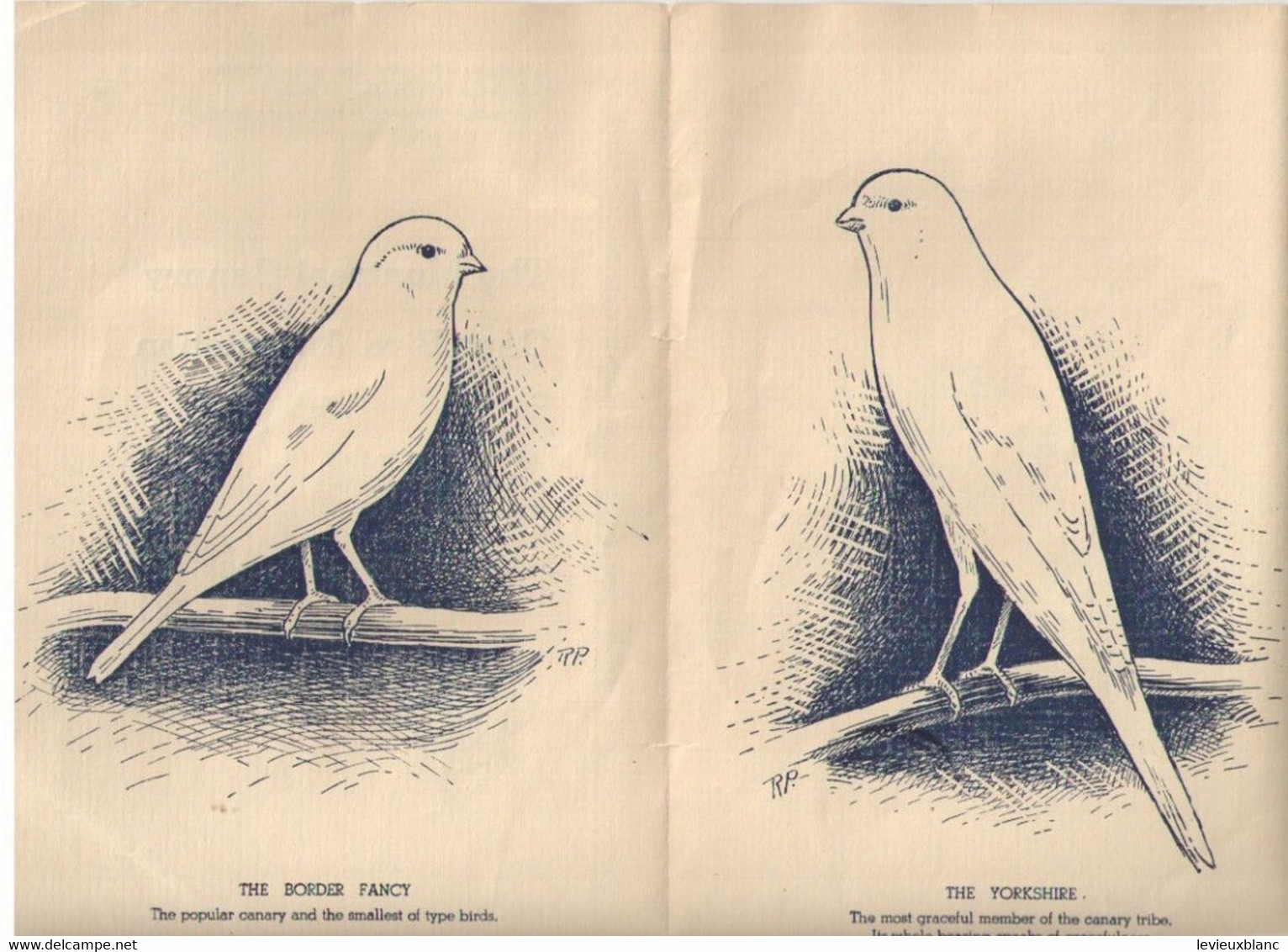 The Montreal CANARY And CAGE BIRDS Association/Canada's Championship Show/Legion Hall VERDUNl/1942   VPN378 - Dieren