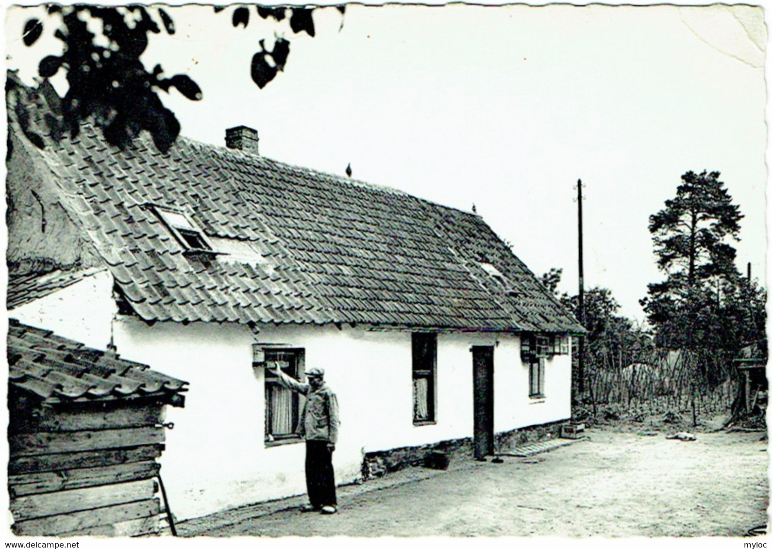 Keerbergen. Ferme. Boerderij. "Polle Nos" - Keerbergen