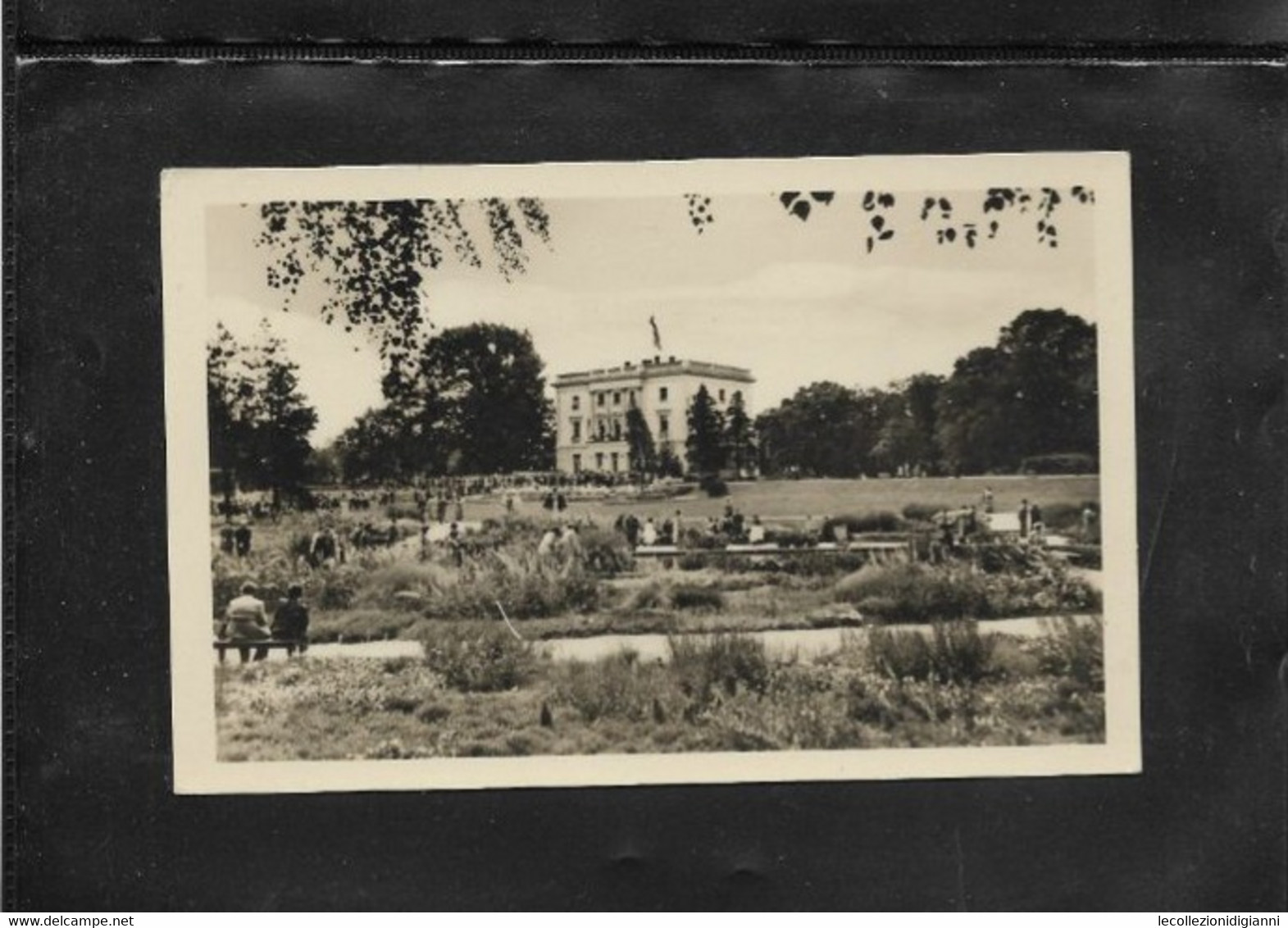 A4) Cartolina Ak Germania DDR Landwirtschafts Und Gartenbau Ausstellung Markkleeberg 1954 Circa - Markkleeberg