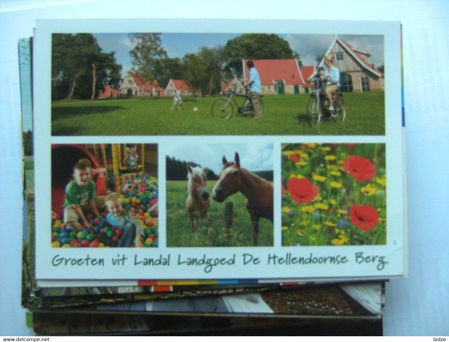 Nederland Holland Pays Bas Hellendoorn Met Landal Landgoed De Hellendoornse Berg - Hellendoorn