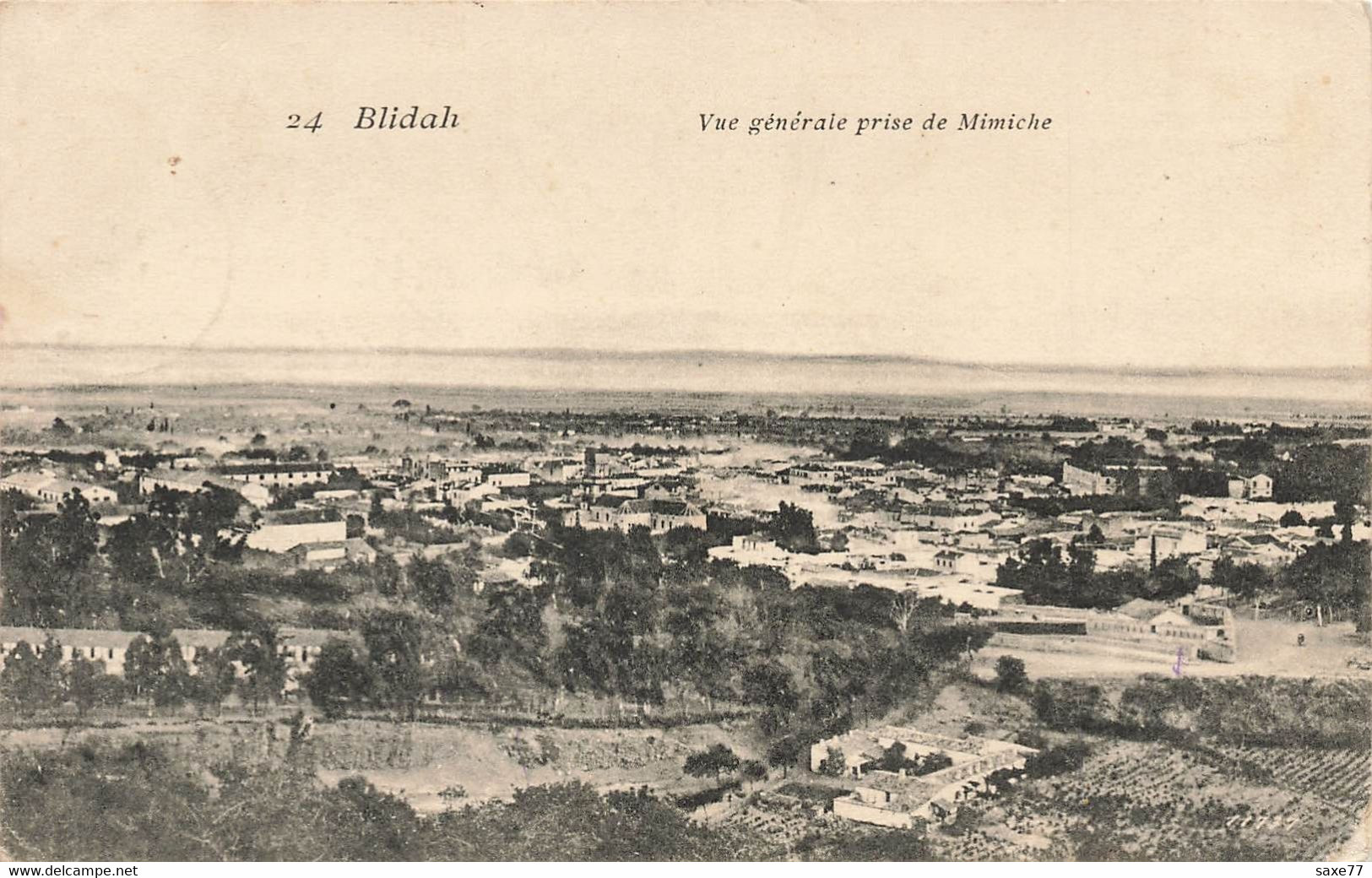 BLIDA - Vue Générale Prise De Mimiche - Blida