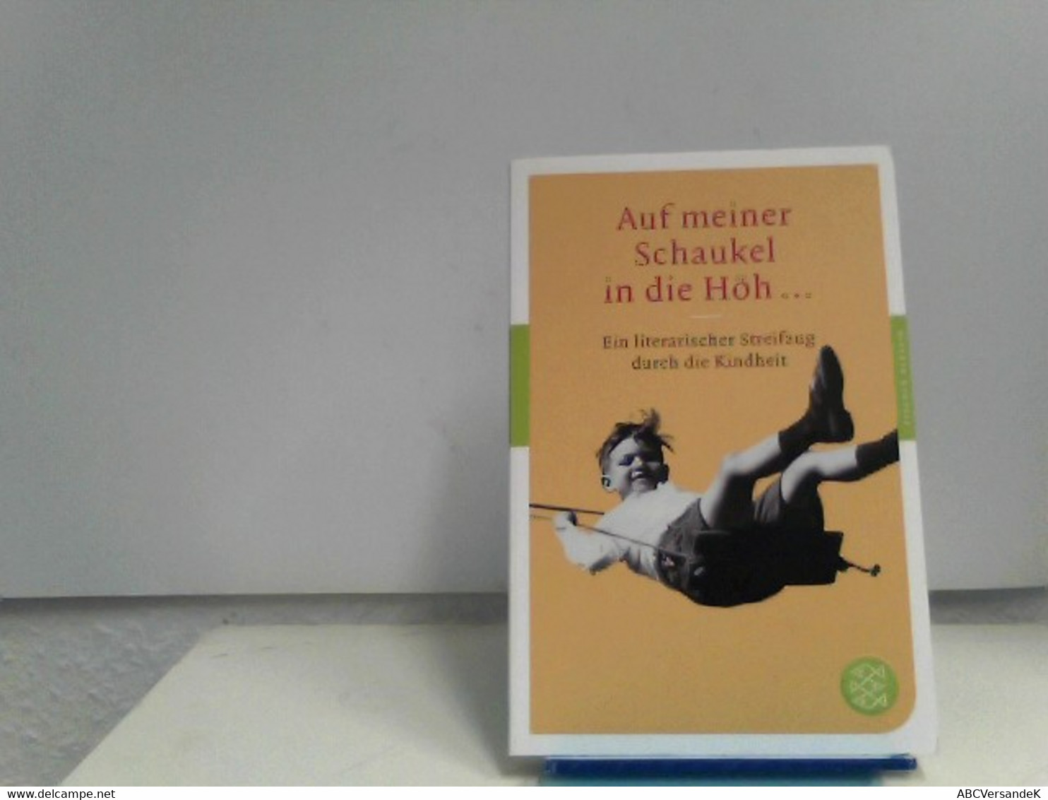 Auf Meiner Schaukel In Die Höh ...: Ein Literarischer Streifzug Durch Die Kindheit (Fischer Klassik) - Short Fiction