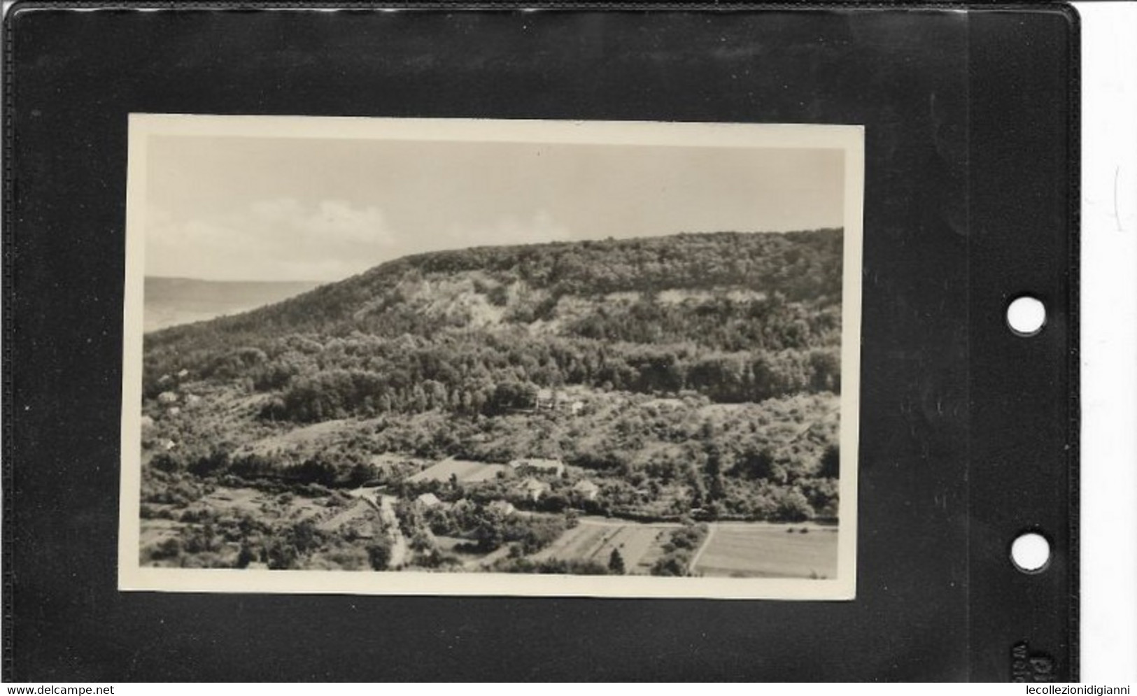 A6) Cartolina Ak Foto Germania Est DDR Bleicherode Harz Vogelbergklippen Waldschloesschen 1957 - Bleicherode